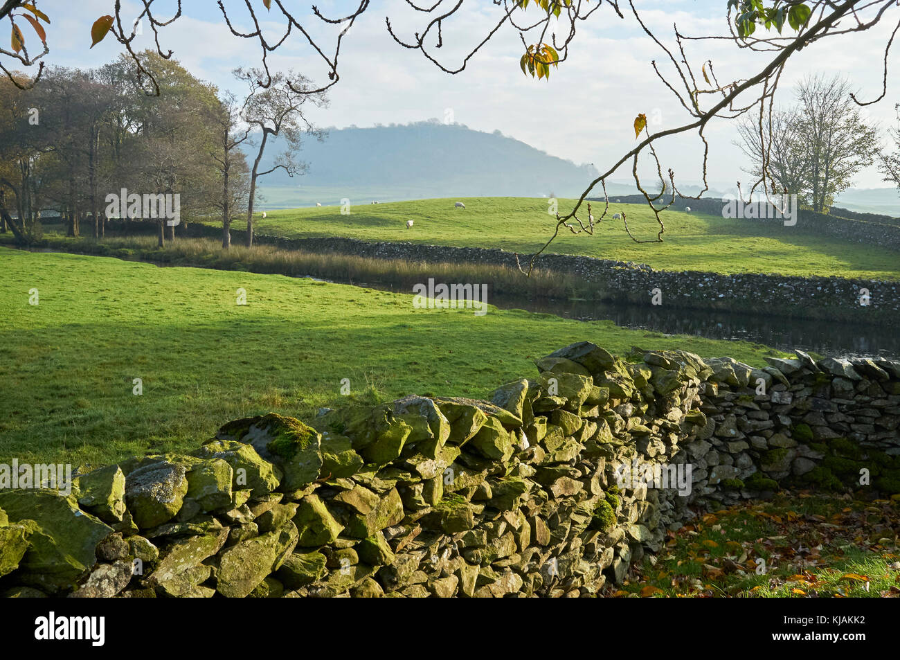 Paysage de Yorkshire Dales en automne, Austwick, nr. Settle, Yorkshire du Nord, Angleterre du Nord, Royaume-Uni Banque D'Images