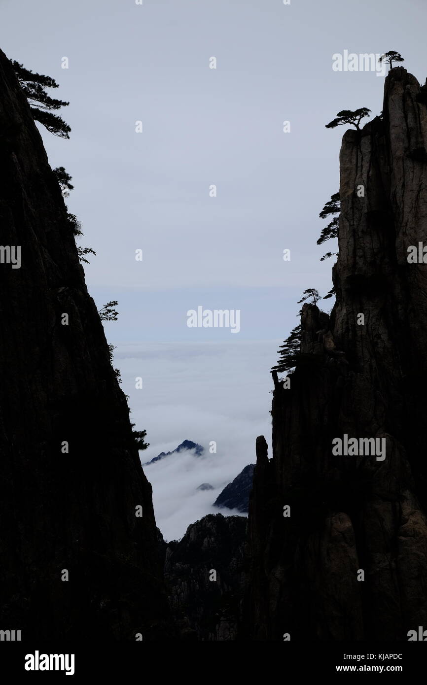 Mer de nuages dans les jambes des pics accidentés des montagnes Huangshan en Chine Banque D'Images