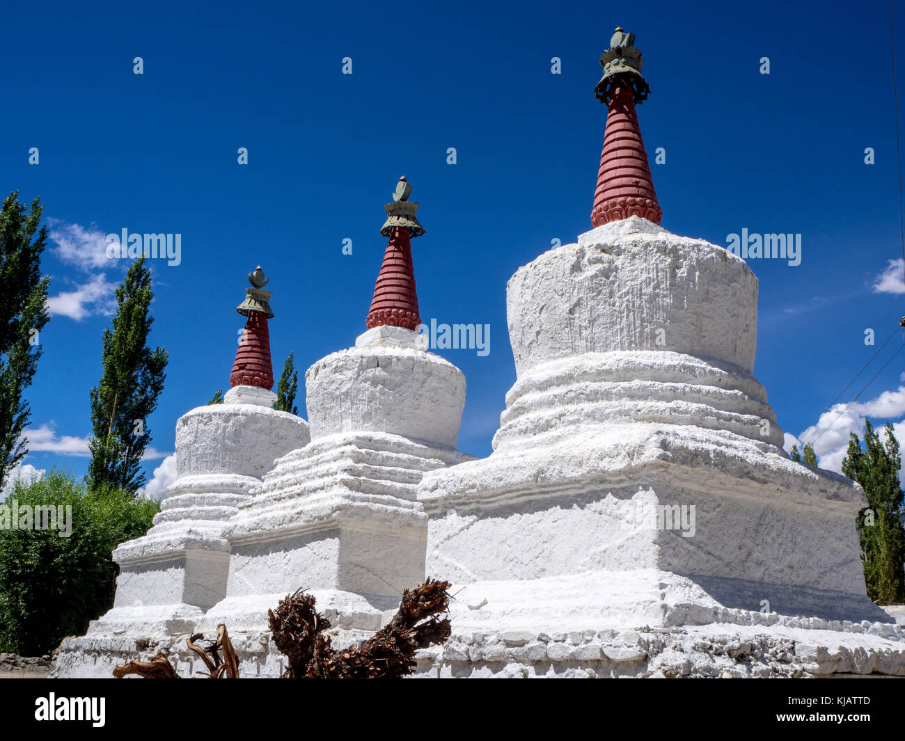 Stupas bouddhistes au Ladakh Inde Banque D'Images