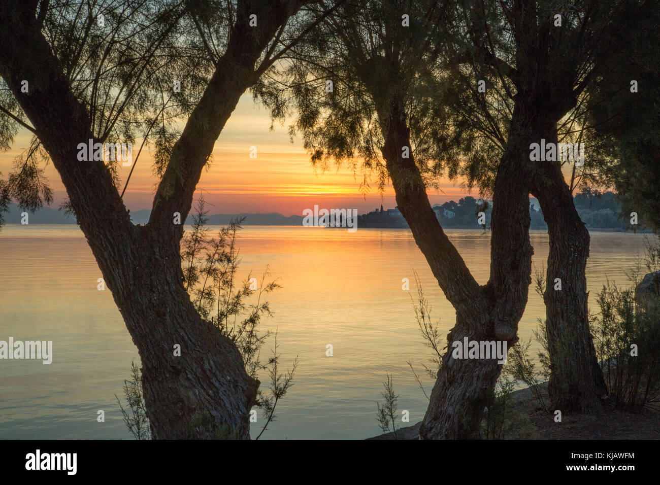 Vu entre le tamaris (tamarix) les arbres, les couleurs vives du ciel du matin se reflètent dans la mer calme, quelques instants avant le lever du soleil. Banque D'Images