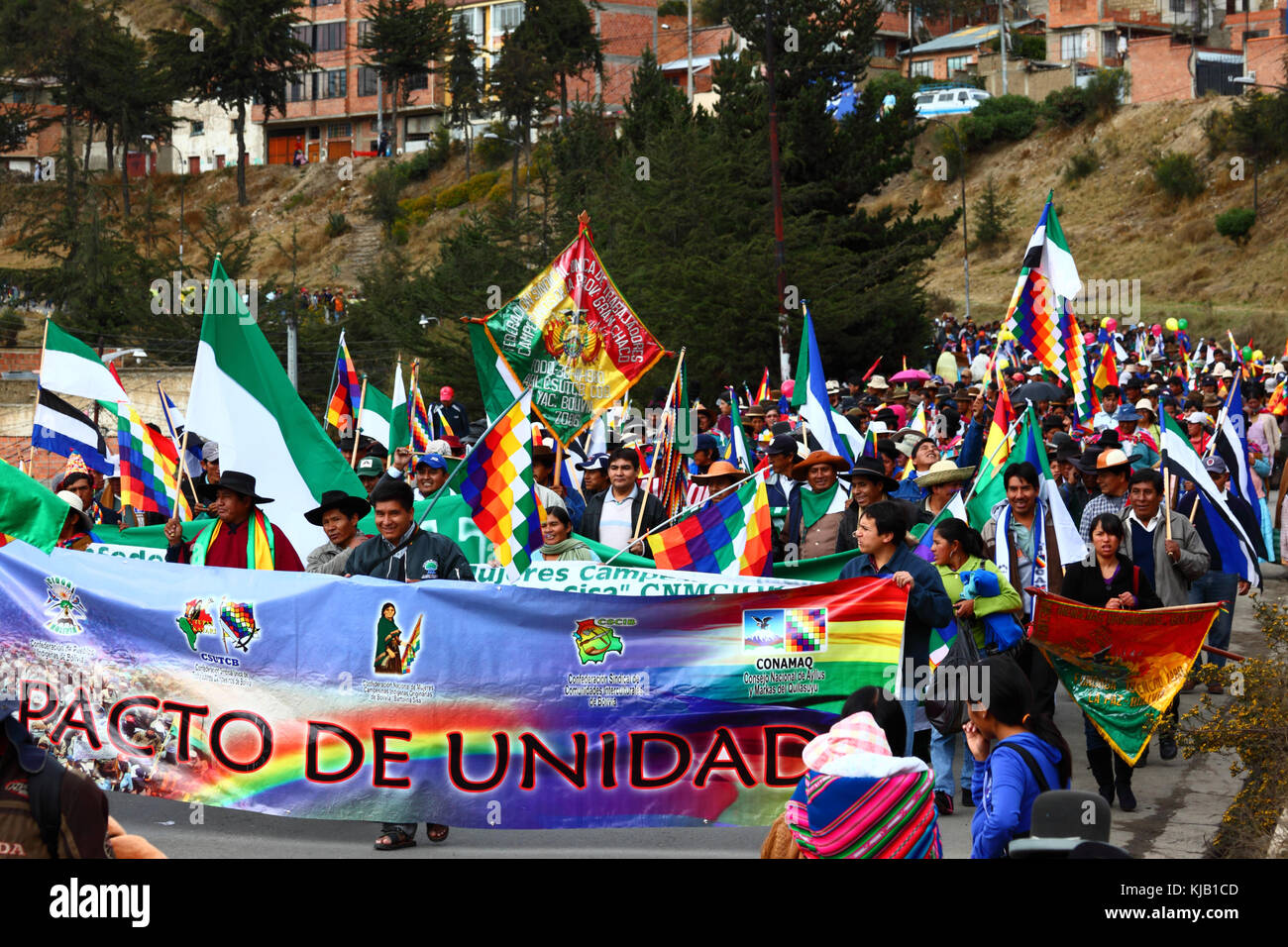 Les membres de divers mouvements sociaux prennent part à un gouvernement pro marche pour soutenir des plans pour construire une route à travers la région TIPNIS, La Paz, Bolivie Banque D'Images