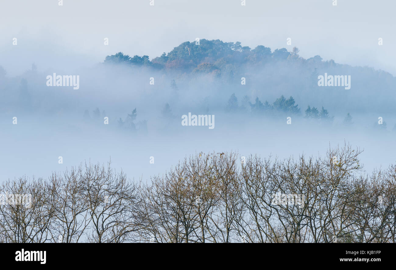 Newlands Corner, Surrey sur un matin d'hiver brumeux Banque D'Images