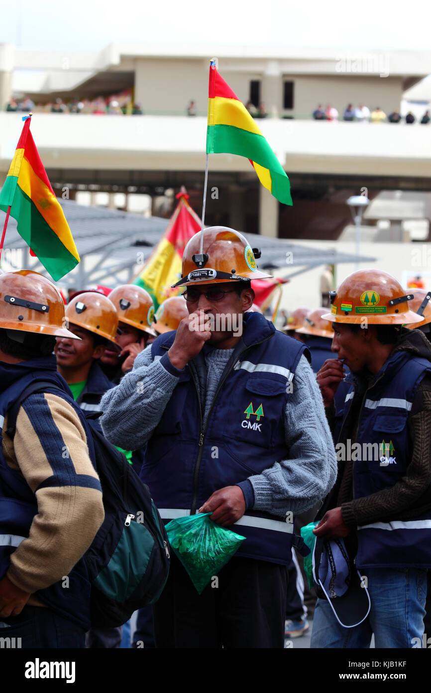 Les feuilles de coca à mâcher un mineur à un gouvernement pro soutenir mars prévoit de construire une route à travers la région TIPNIS, La Paz, Bolivie Banque D'Images