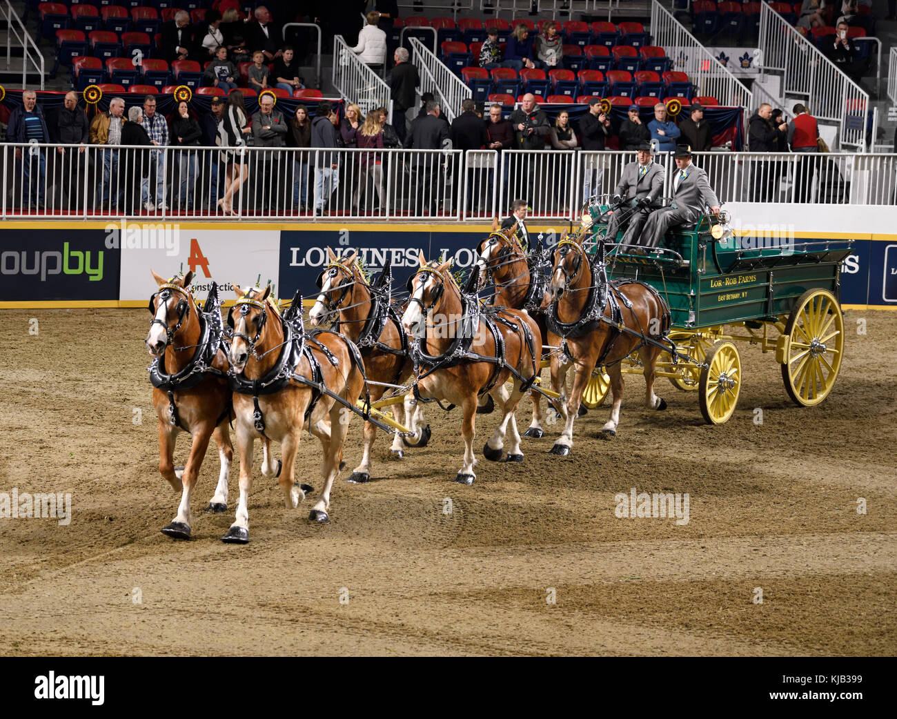 Lor-rob fermes au concours d'attelage de chevaux six belges au Royal Horse Show à Ricoh Coliseum, Exhibition Place Toronto Banque D'Images