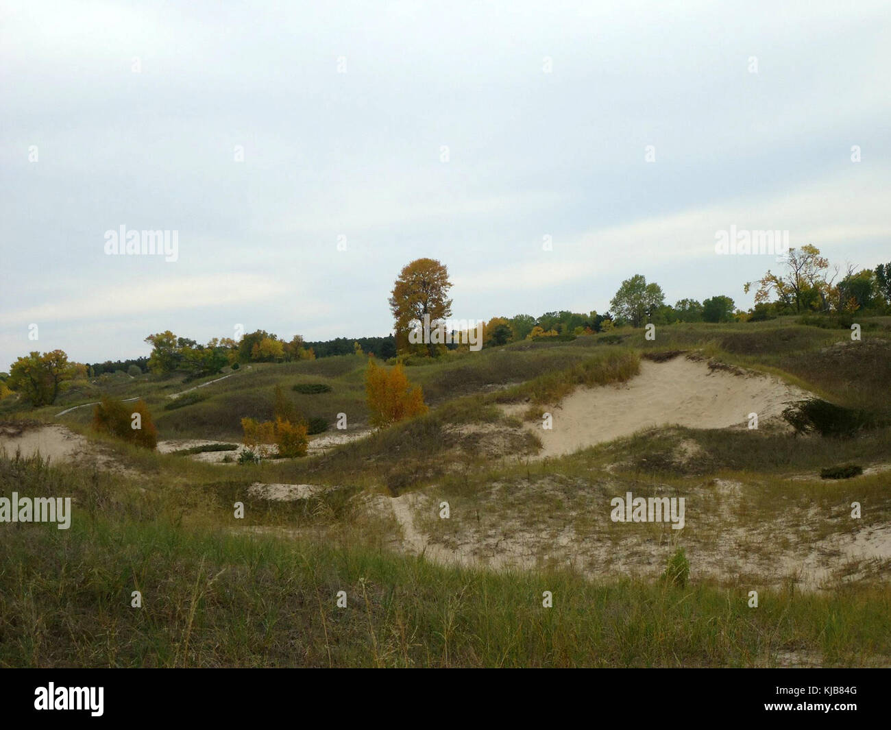 Une photographie ou une référence à une dune de sable au parc d'État de Kohler-Andrae dans le Wisconsin, mettant en valeur son paysage naturel et la beauté de son environnement. Banque D'Images