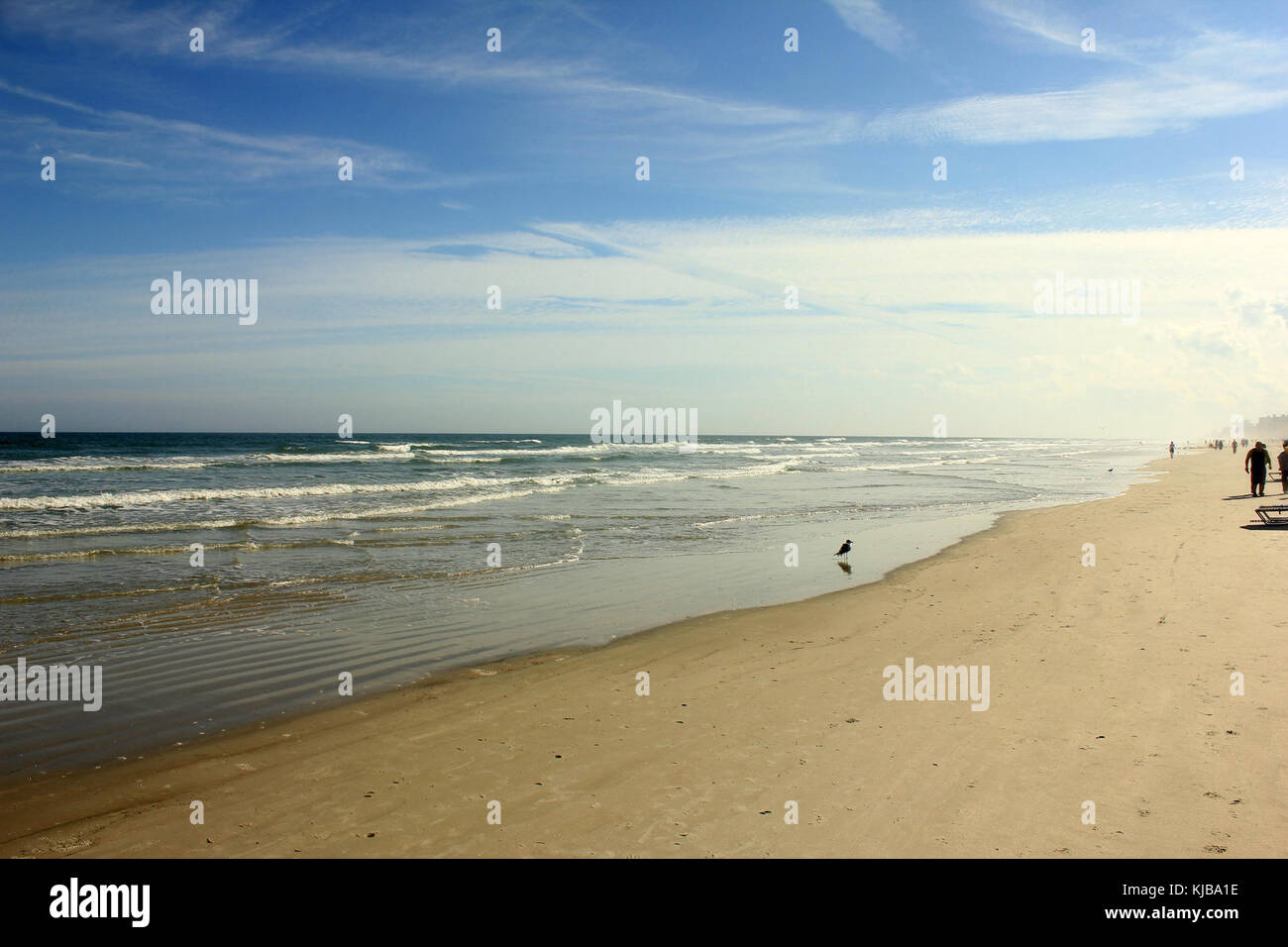 Daytona Beach floride gfp beach shoreline Banque D'Images