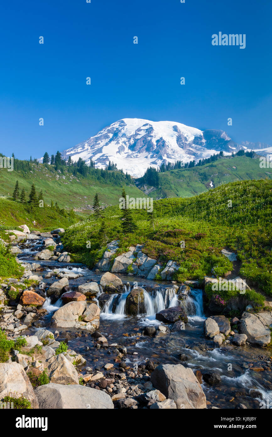 Myrtle tombe sur Edith creek sur le sentier des chutes de myrte dans le paradis de l'article du mont rainer national park dans l'état de Washington aux États-Unis Banque D'Images