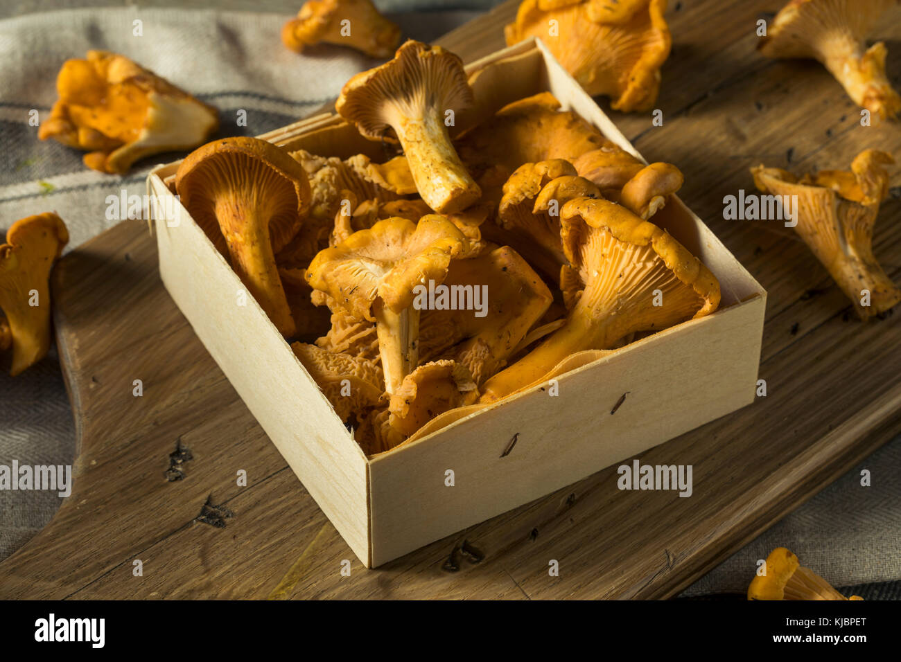Chanterelles bio orange brut prêt à cuire Banque D'Images