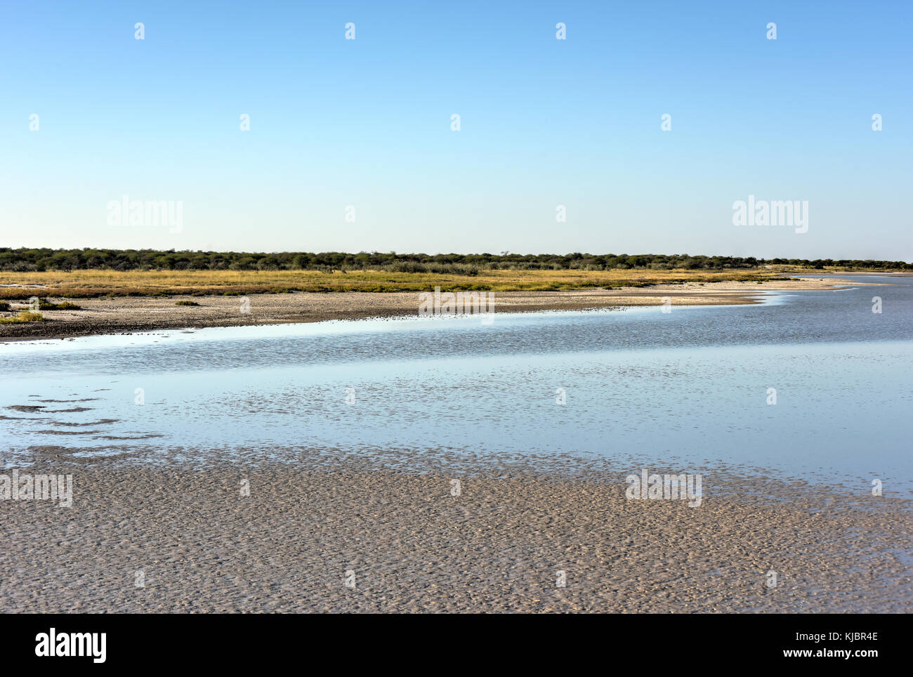 Paysage par namutoni rest camp dans le parc national d'Etosha, Namibie. Banque D'Images