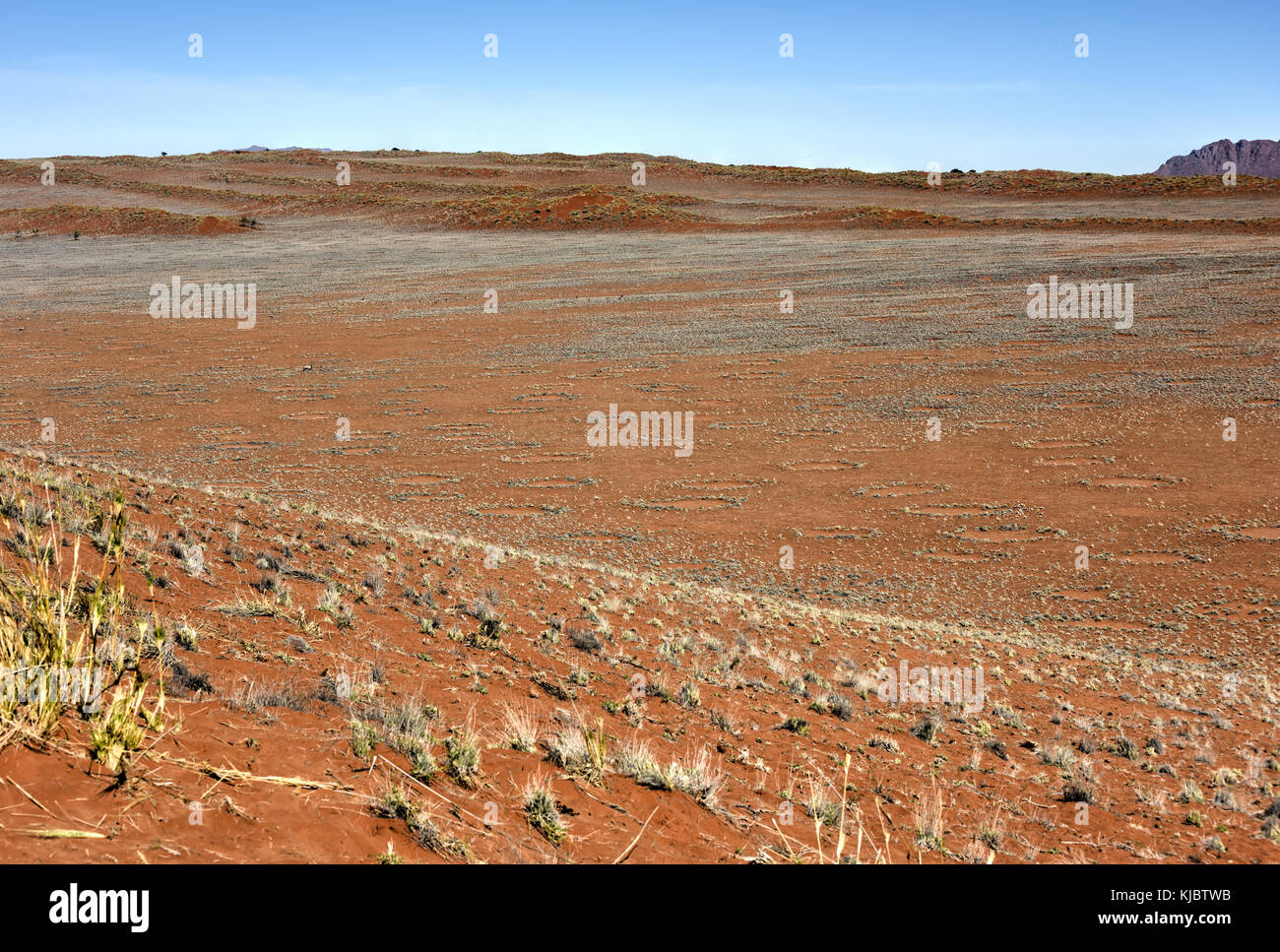 Cercle de fées dans le désert de namib Banque de photographies et d