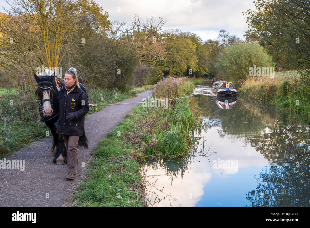 Bateau étroit tiré par des chevaux. Directeurs femme un cheval sur un chemin de halage, tout en tirant un grand classique sur le canal de Cromford, Derbyshire, Angleterre, RU Banque D'Images