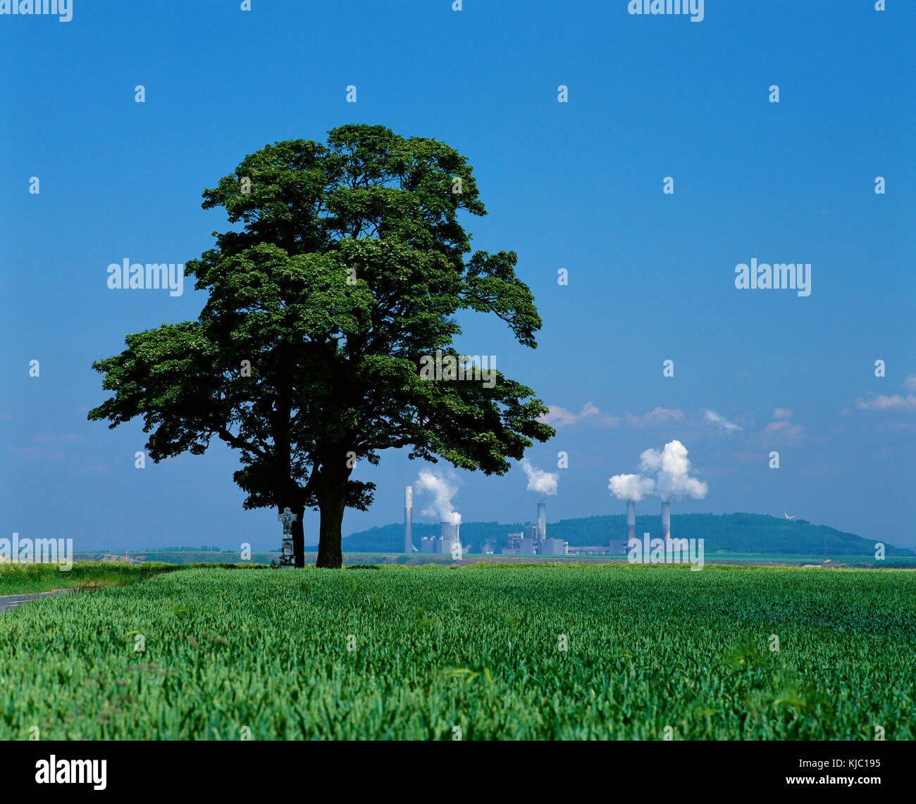 Arbre au champ, centrale à charbon Brown en arrière-plan, Neurath près de Grevenbroich, Allemagne Banque D'Images