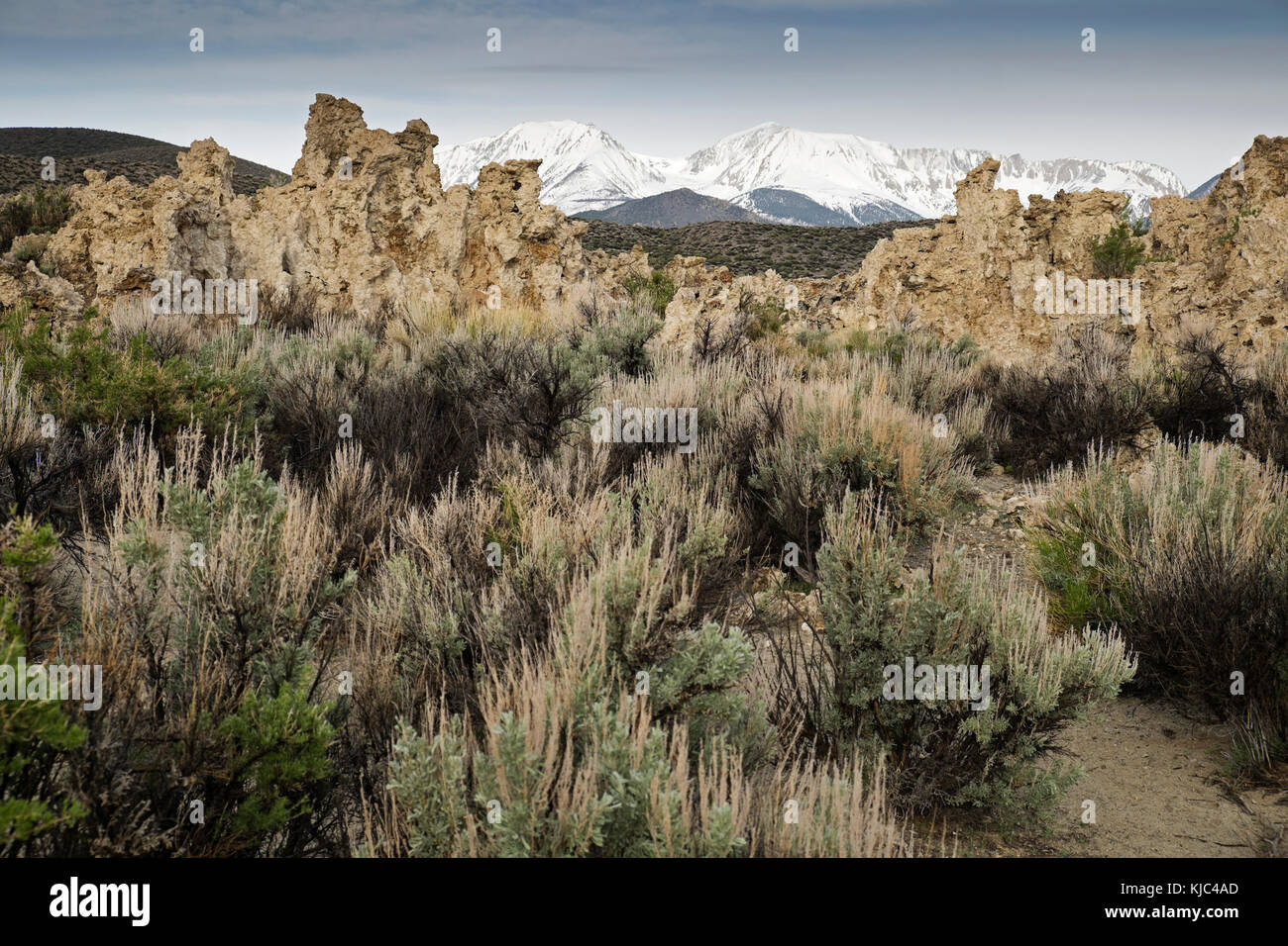 Formations rocheuses et végétation du lac Mono avec les montagnes de la Sierra Nevada en arrière-plan en Californie de l'est, aux États-Unis Banque D'Images