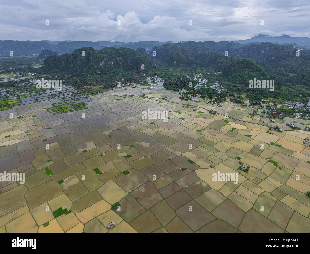 Rizière inondée pendant la saison des pluies en rammang rammang maros près de makassar - South Sulawesi - Indonésie. Banque D'Images