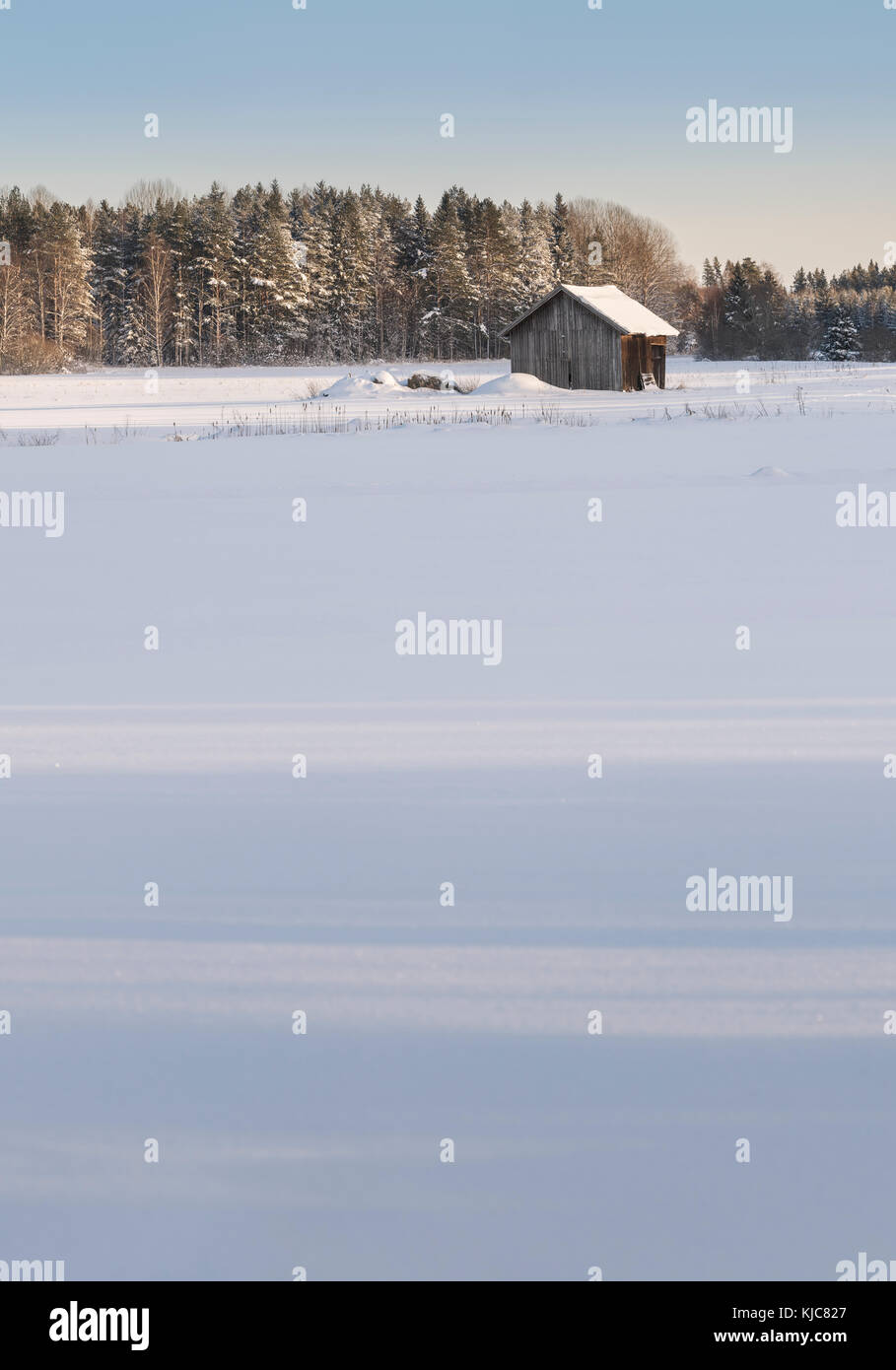 Vieille Grange en paysage de neige et forêt paysage d'hiver dans la région de Roslagen, Uppland, Suède, Scandinavie. Banque D'Images