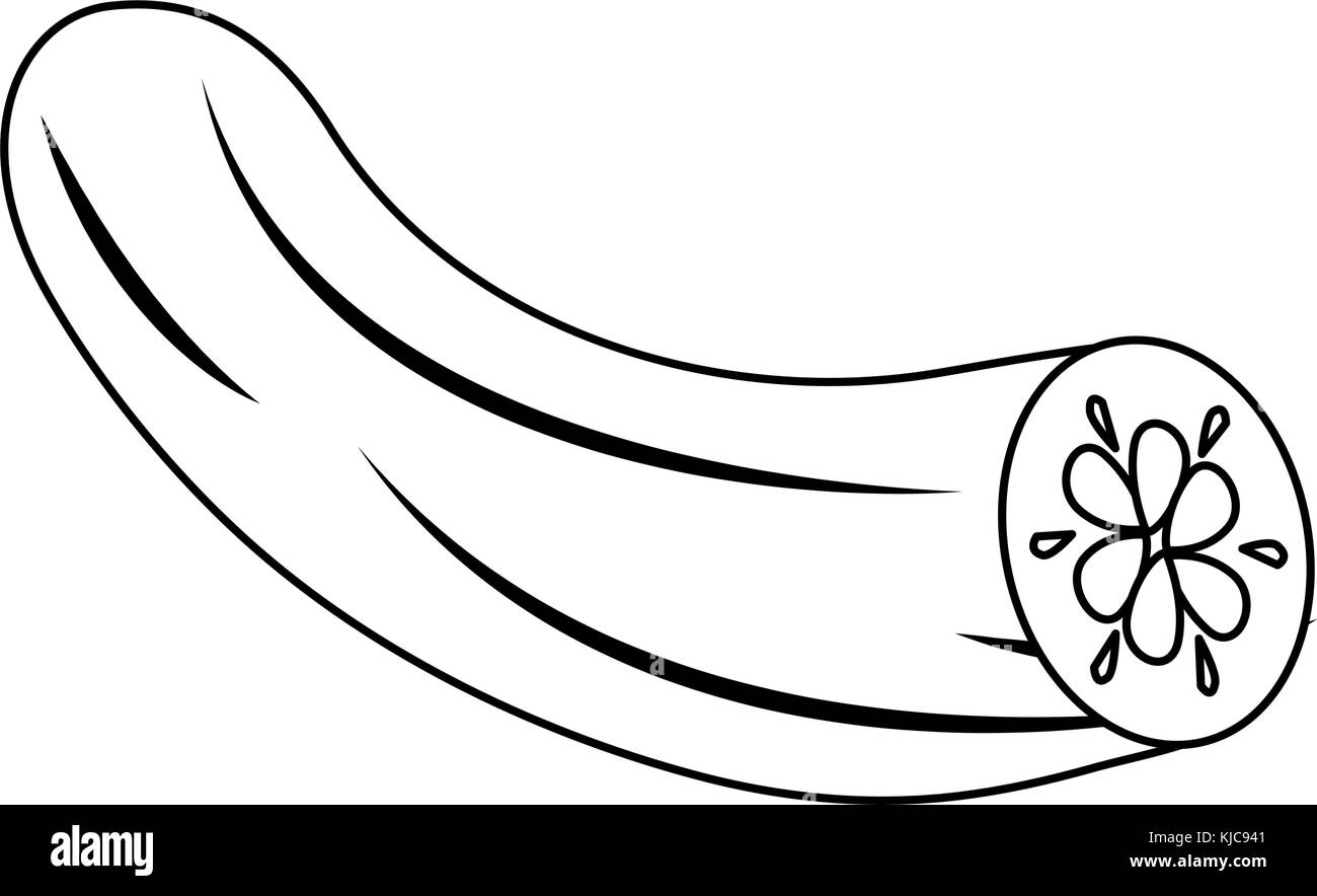 Légumes frais de concombre Illustration de Vecteur