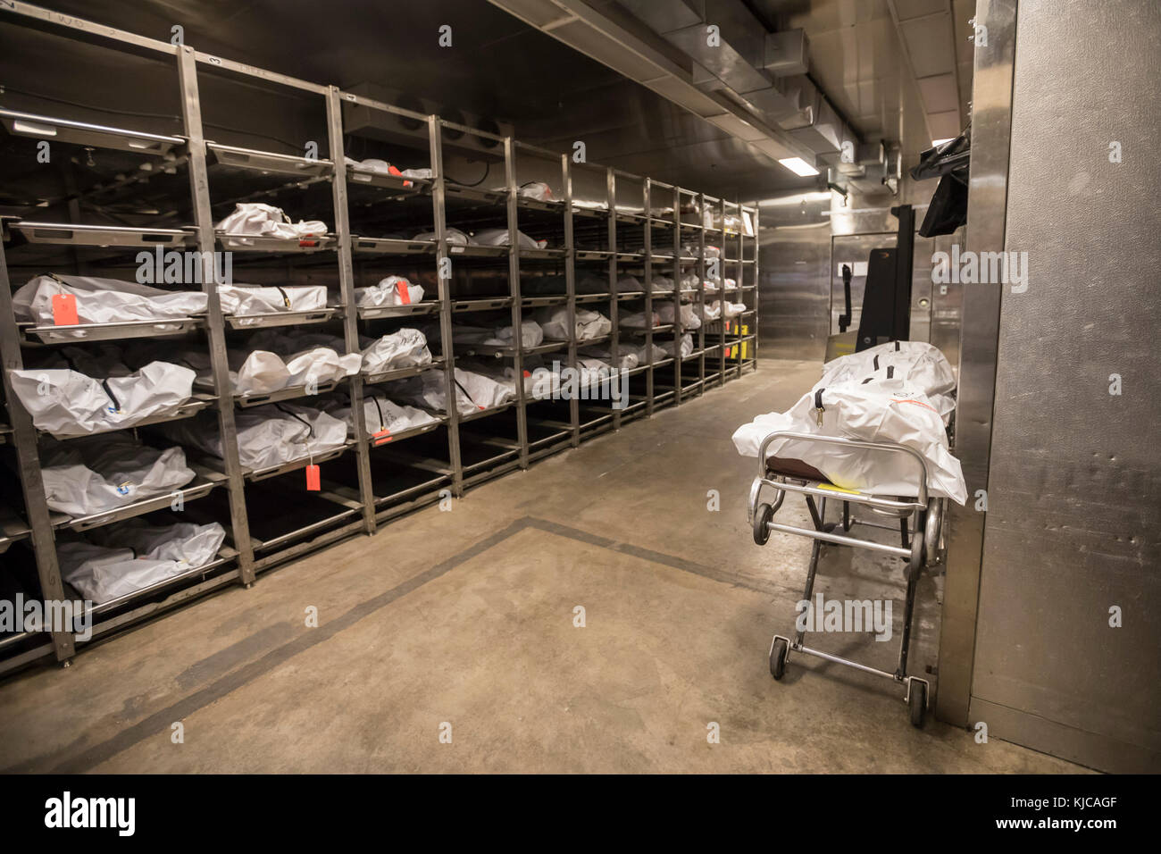 Tucson, Arizona - la morgue de l'office de tourisme de la pima comté médecin examinateur. Bon nombre de cadavres stockés ici sont des migrants non identifiés qui sont morts Banque D'Images
