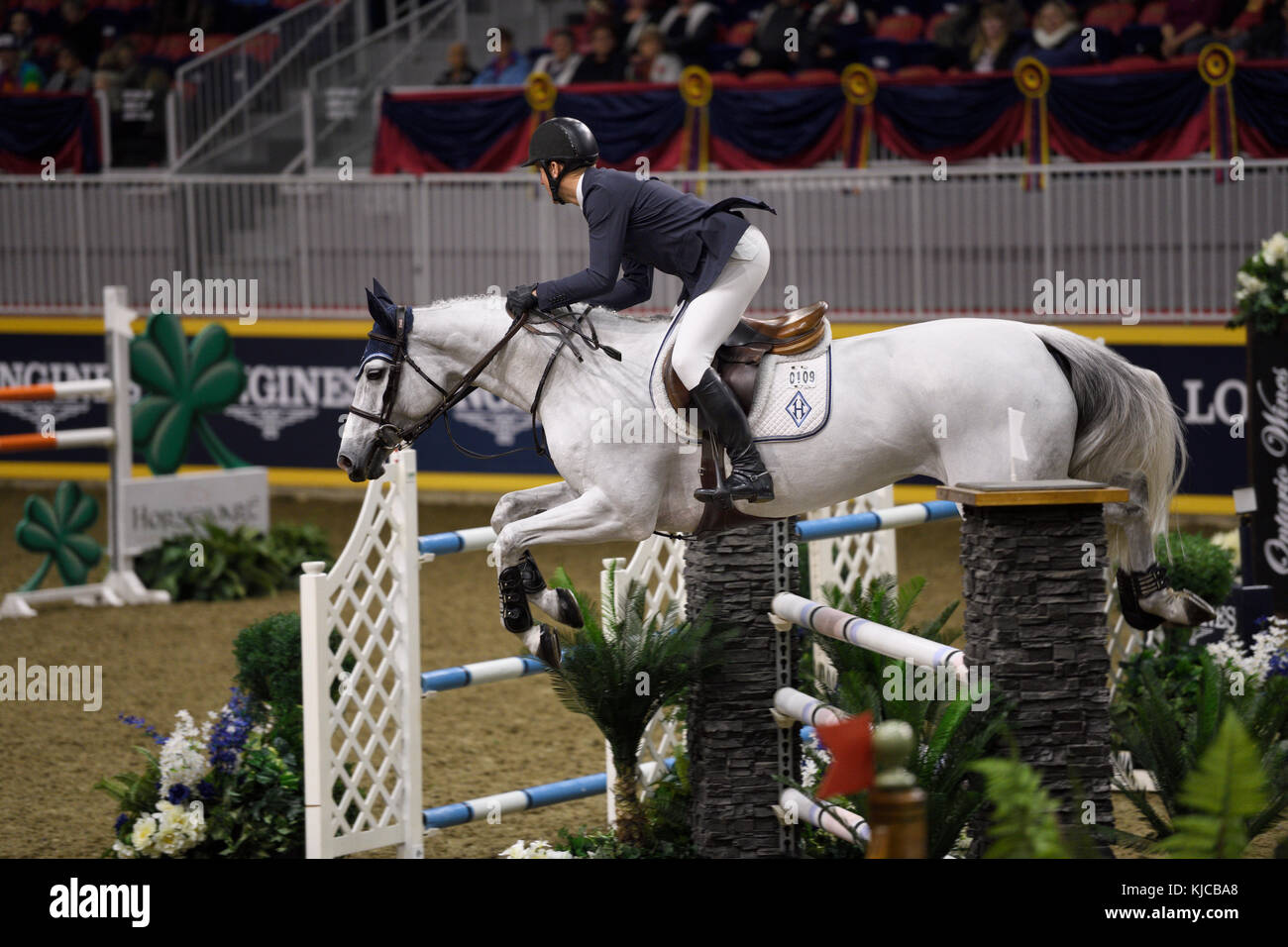 Mclain ward équitation hh gigi, jeune fille de la famille mckee cavalier international competition at the Royal Horse Show colisée Ricoh Canada Toronto Banque D'Images