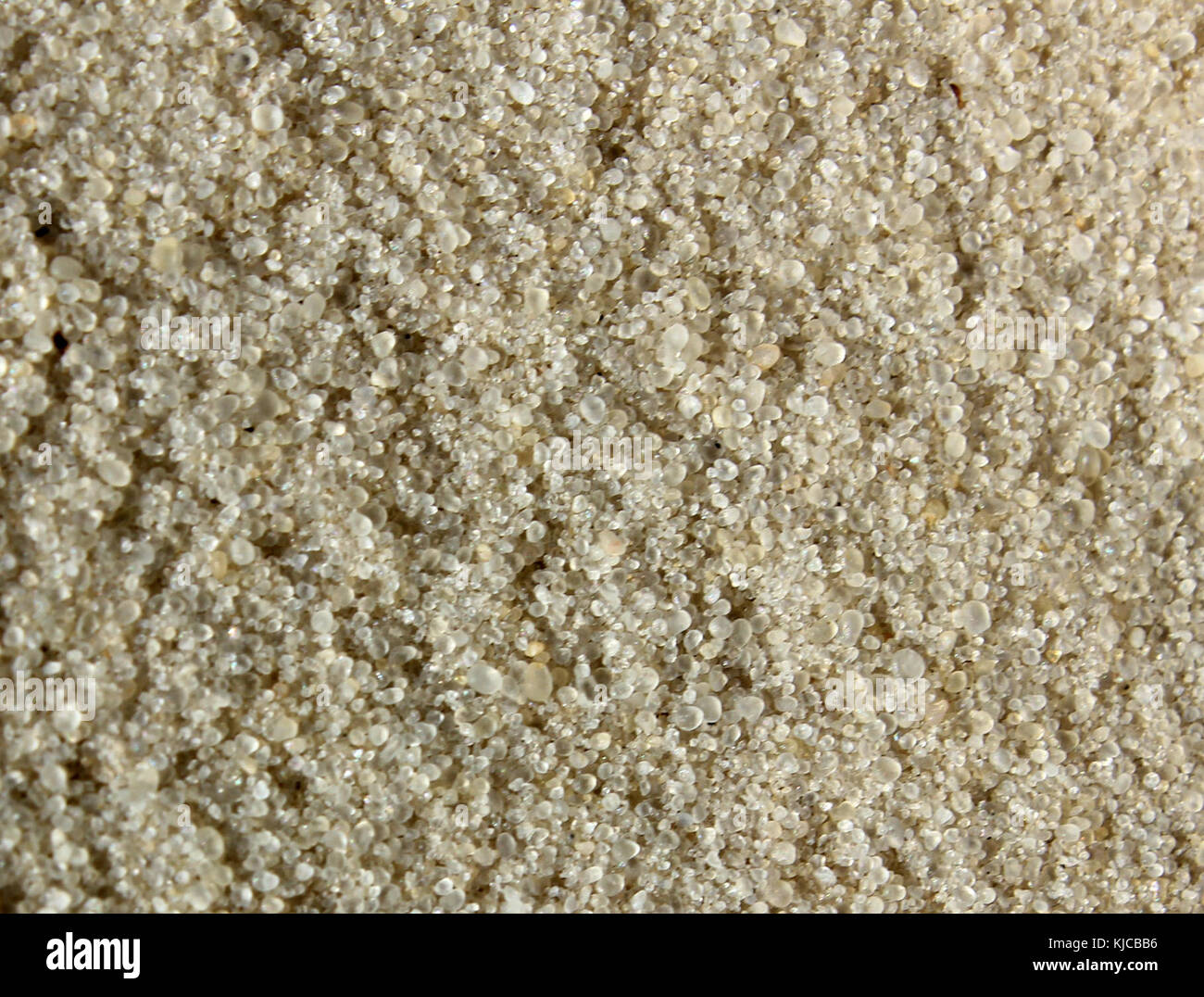 La texture du sable granuleux de la GFP Banque D'Images