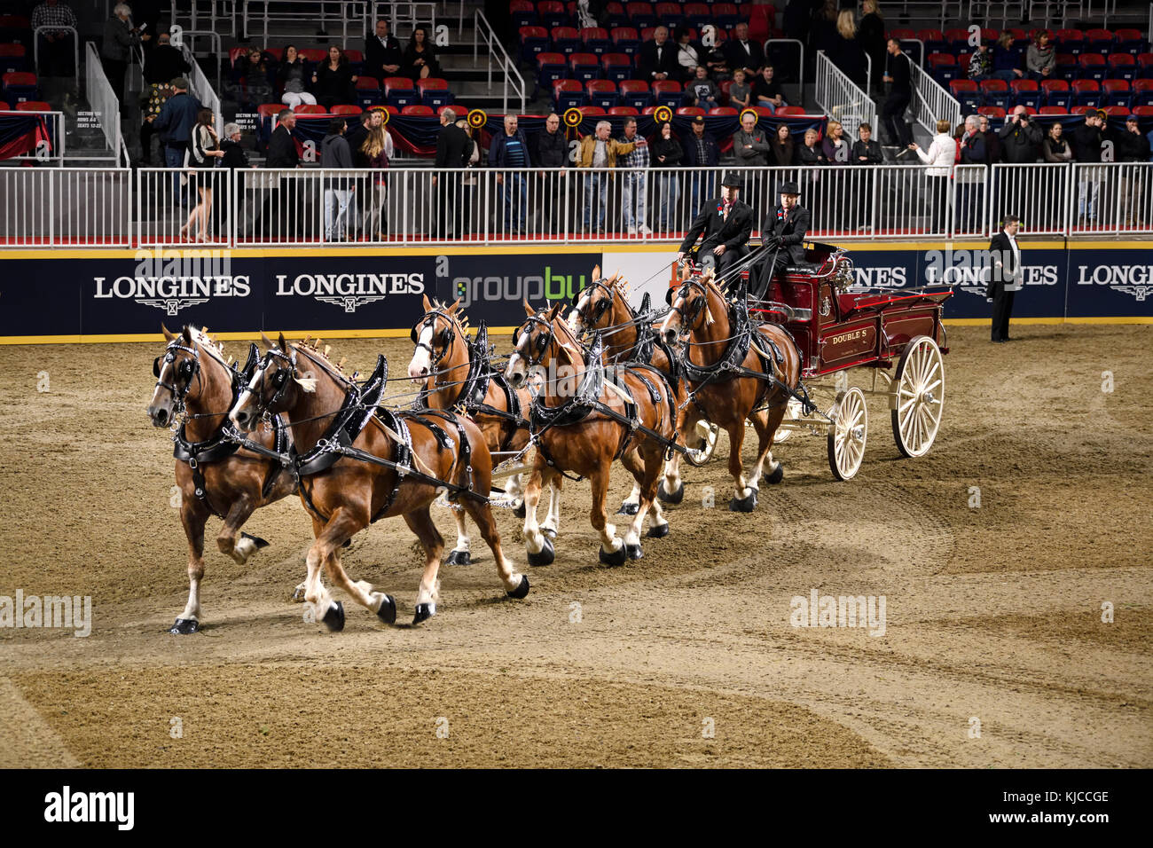 Double S gagnants du concours belge d'attelage à six chevaux au Royal
