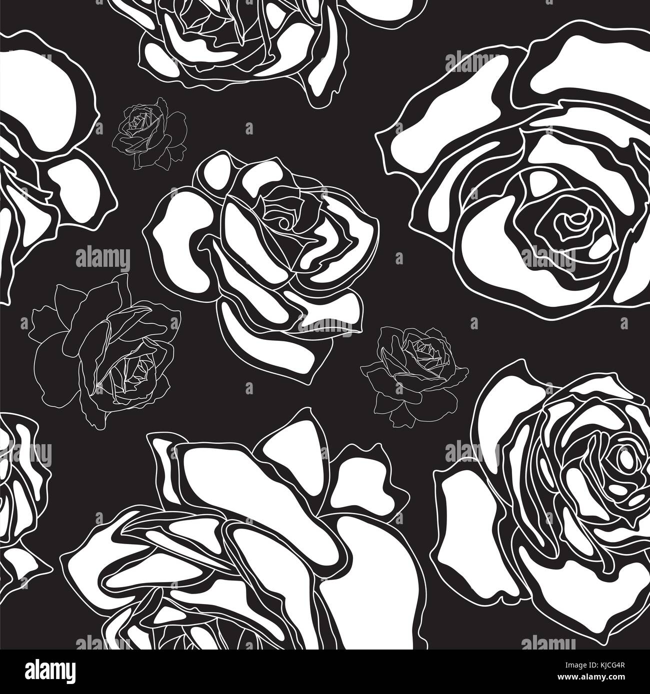 Modèle sans couture, des roses blanches sur fond noir Illustration de Vecteur