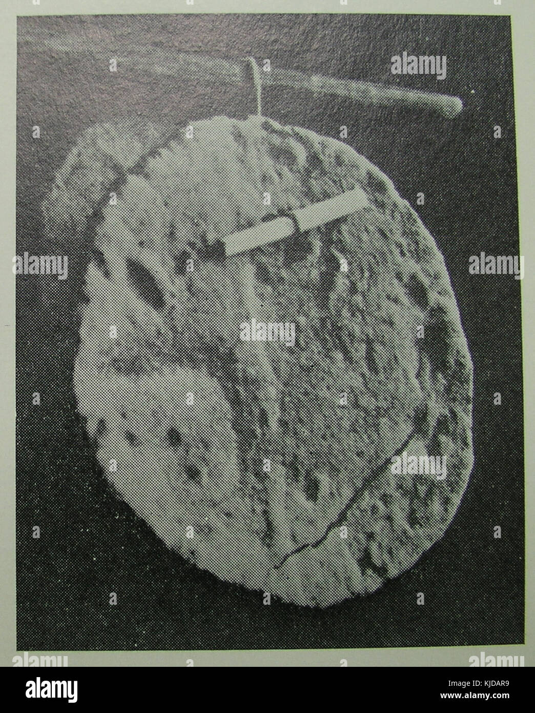 H.P. Hansen 4 hulkager Banque D'Images