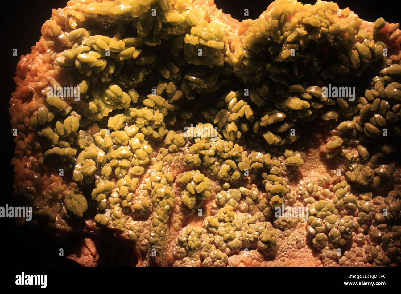 Ce spécimen minéral de pyromorphite GFP présente la structure cristalline unique et la coloration vibrante de la pyromorphite, un minéral appartenant au groupe des phosphates, connu pour son aspect distinctif. Banque D'Images