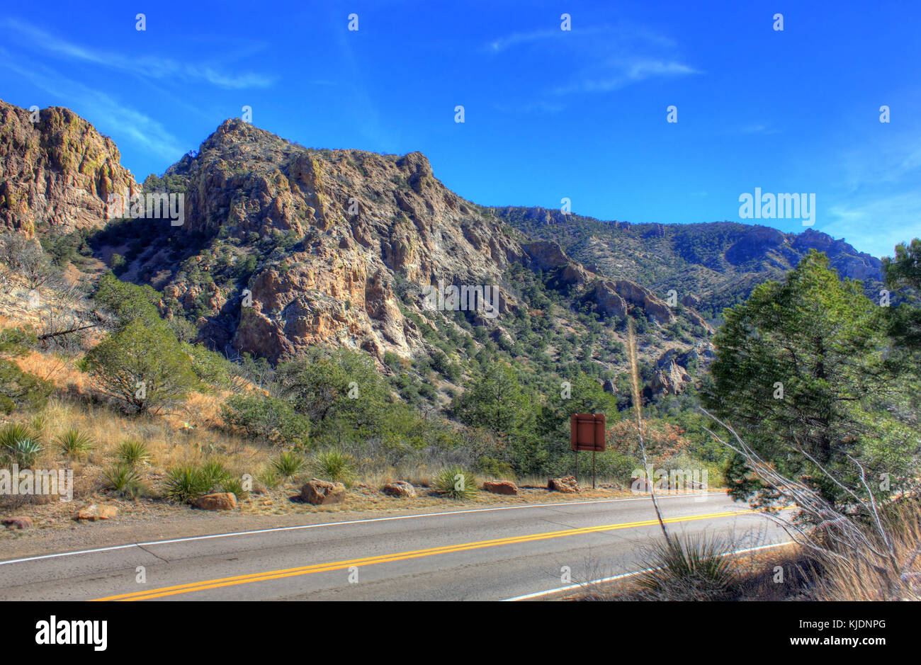 Gfp texas big bend national park côté de la route Banque D'Images
