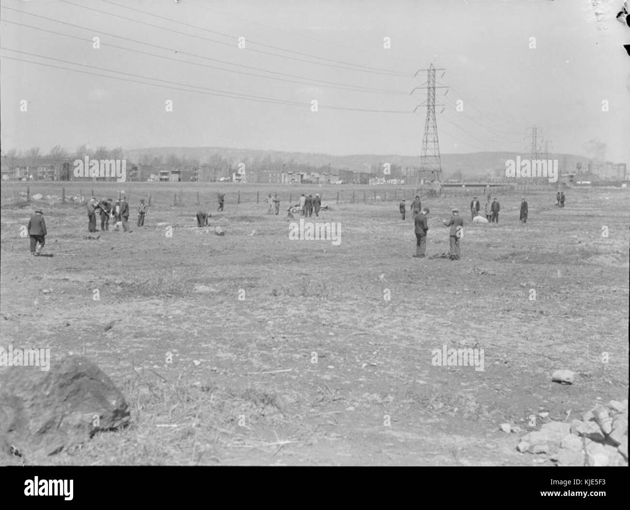 Cet article traite des activités de la Community Garden League, qui promeut les initiatives de jardinage urbain, encourage la participation communautaire et les pratiques de jardinage durable. Banque D'Images