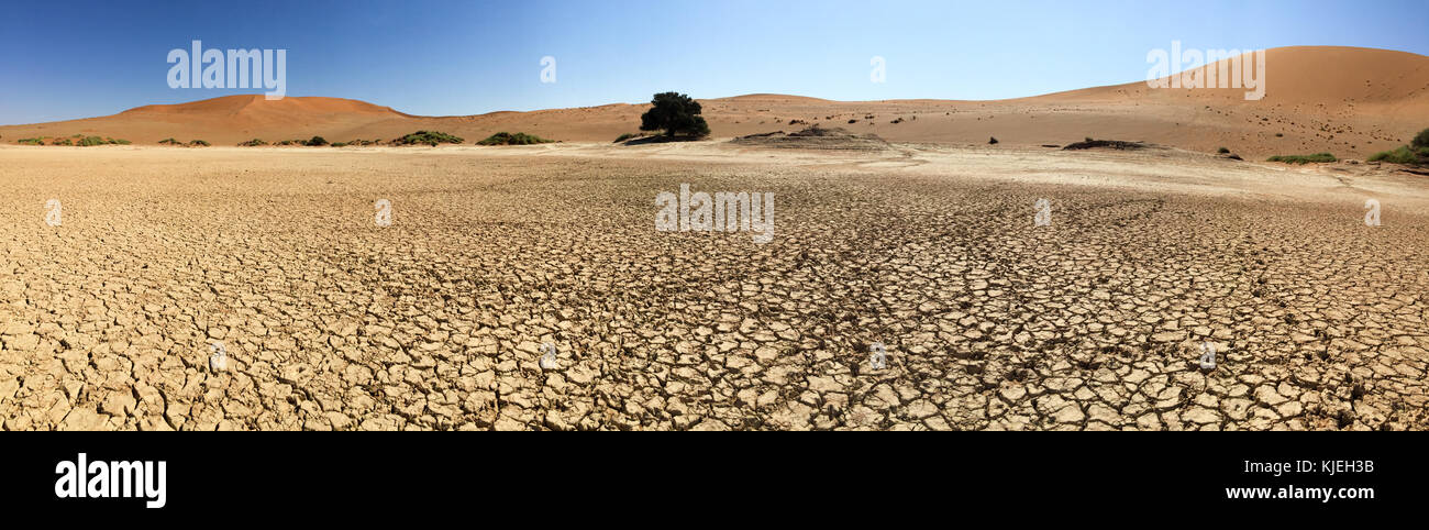 Sossusvlei (parfois écrit sossus vlei) est un sel et de l'argile pan entouré de hautes dunes rouges, situé dans la partie sud du désert du Namib, en t Banque D'Images