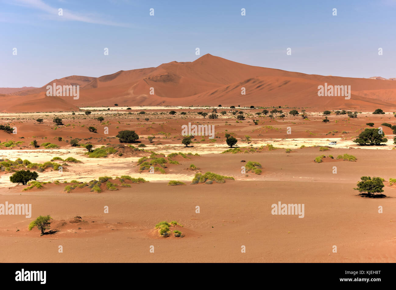 Sossusvlei (parfois écrit sossus vlei) est un sel et de l'argile pan entouré de hautes dunes rouges, situé dans la partie sud du désert du Namib, en t Banque D'Images