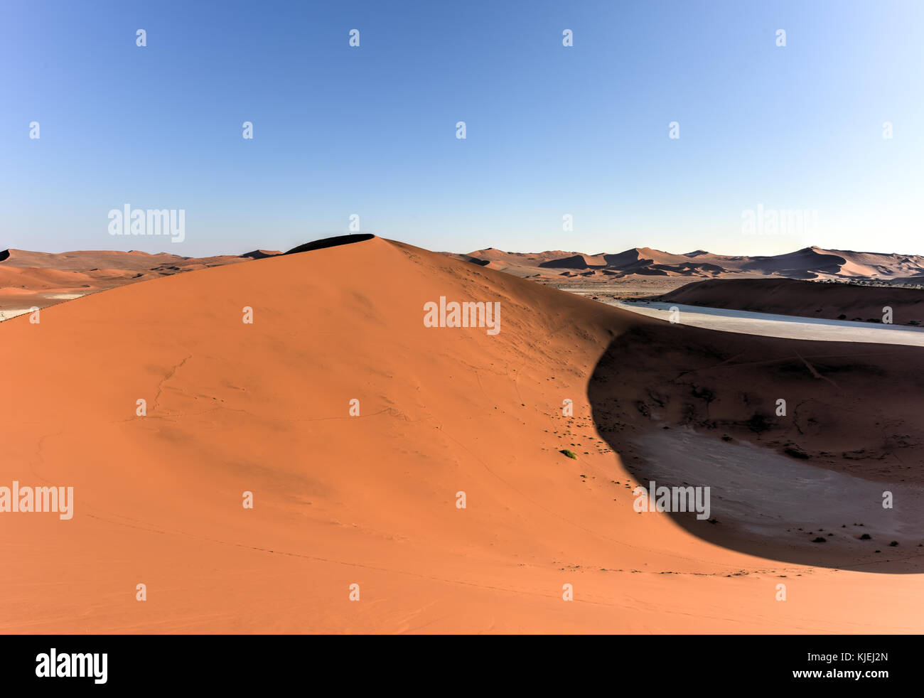 Sossusvlei (parfois écrit sossus vlei) est un sel et de l'argile pan entouré de hautes dunes rouges, situé dans la partie sud du désert du Namib, en t Banque D'Images