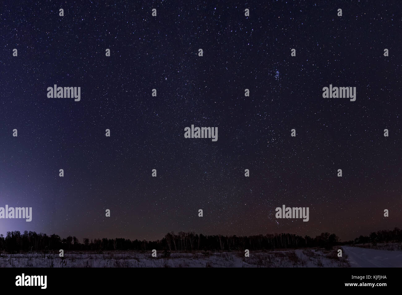 Panorama horizontal du ciel de nuit avec des étoiles contre l'obscurité de la forêt d'hiver Banque D'Images