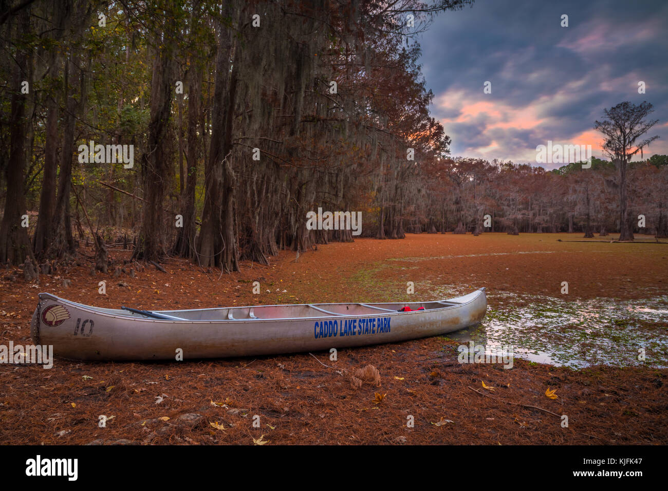 Caddo Lake est un lac et des terres humides situées sur la frontière entre le Texas et la Louisiane. Banque D'Images