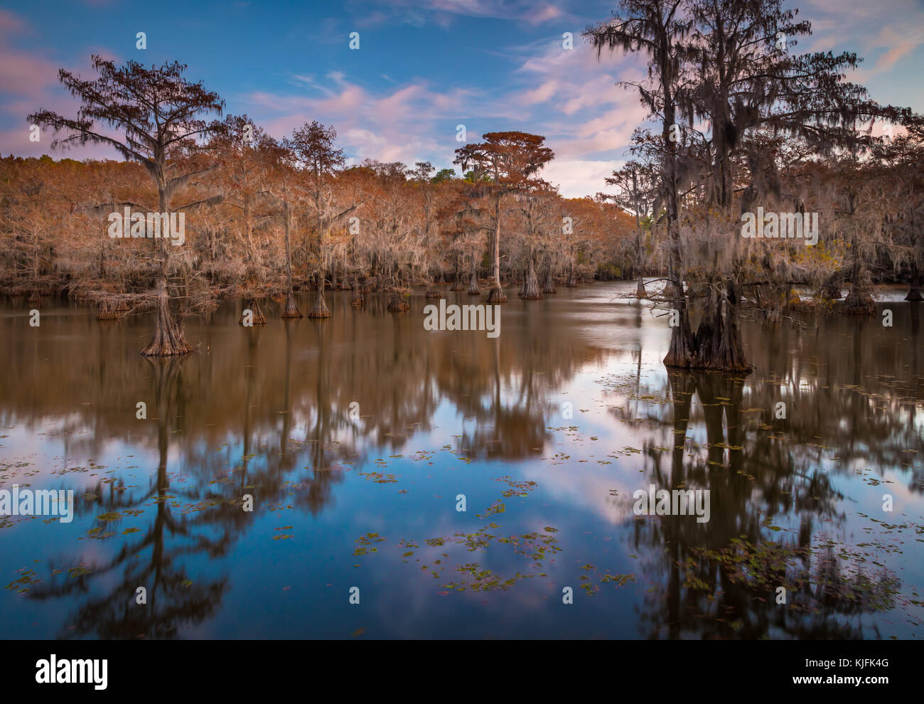 Caddo Lake est un lac et des terres humides situées sur la frontière entre le Texas et la Louisiane. Banque D'Images