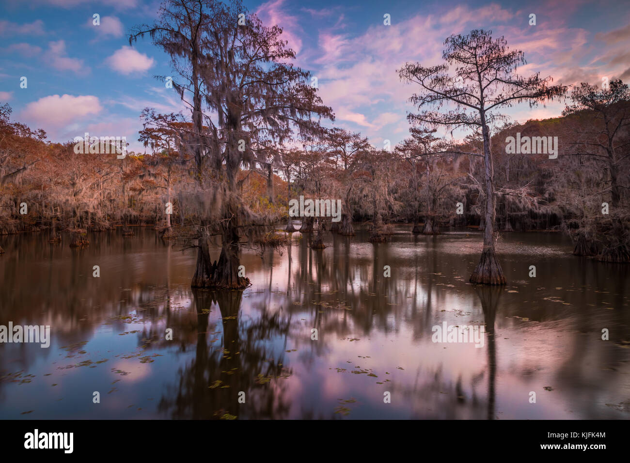 Caddo Lake est un lac et des terres humides situées sur la frontière entre le Texas et la Louisiane. Banque D'Images