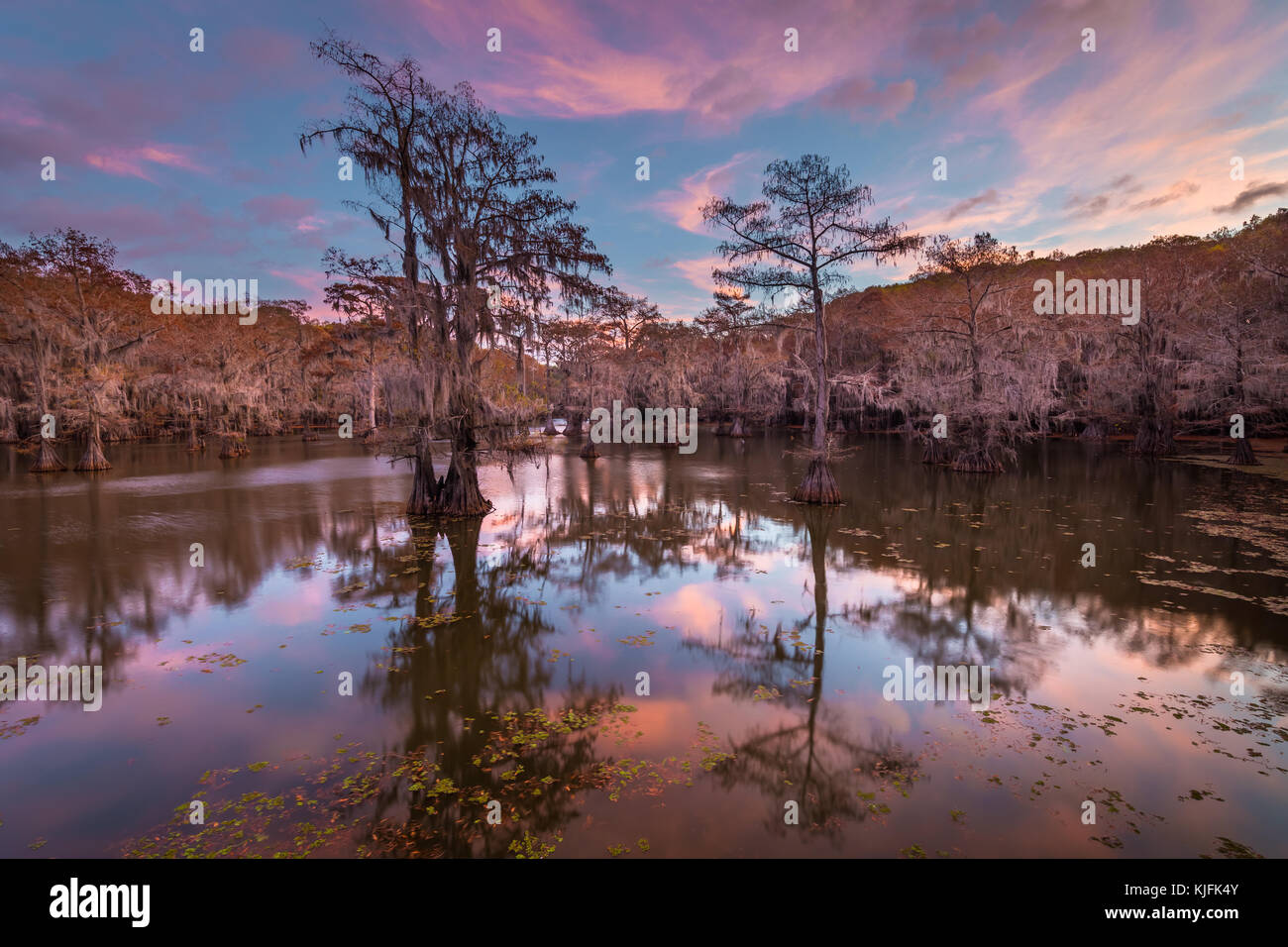 Caddo Lake est un lac et des terres humides situées sur la frontière entre le Texas et la Louisiane. Banque D'Images