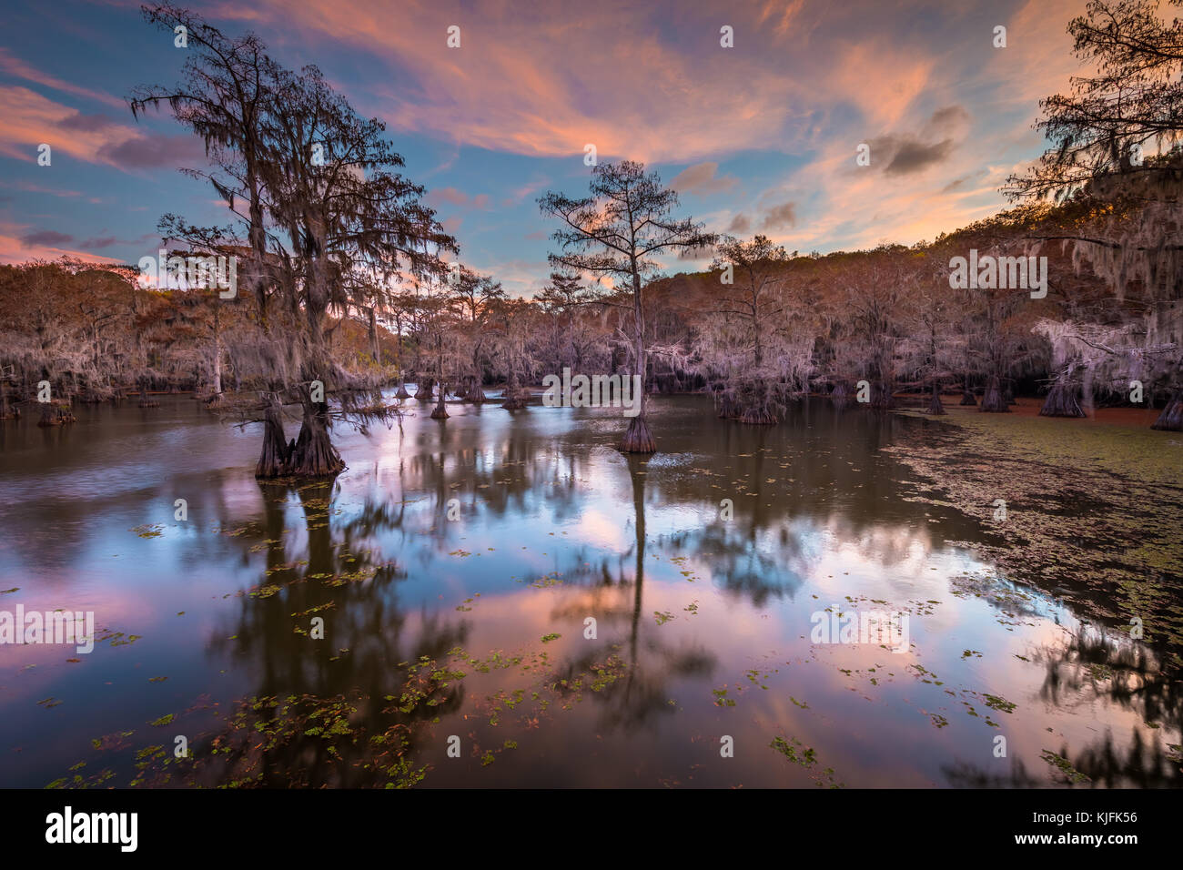 Caddo Lake est un lac et des terres humides situées sur la frontière entre le Texas et la Louisiane. Banque D'Images