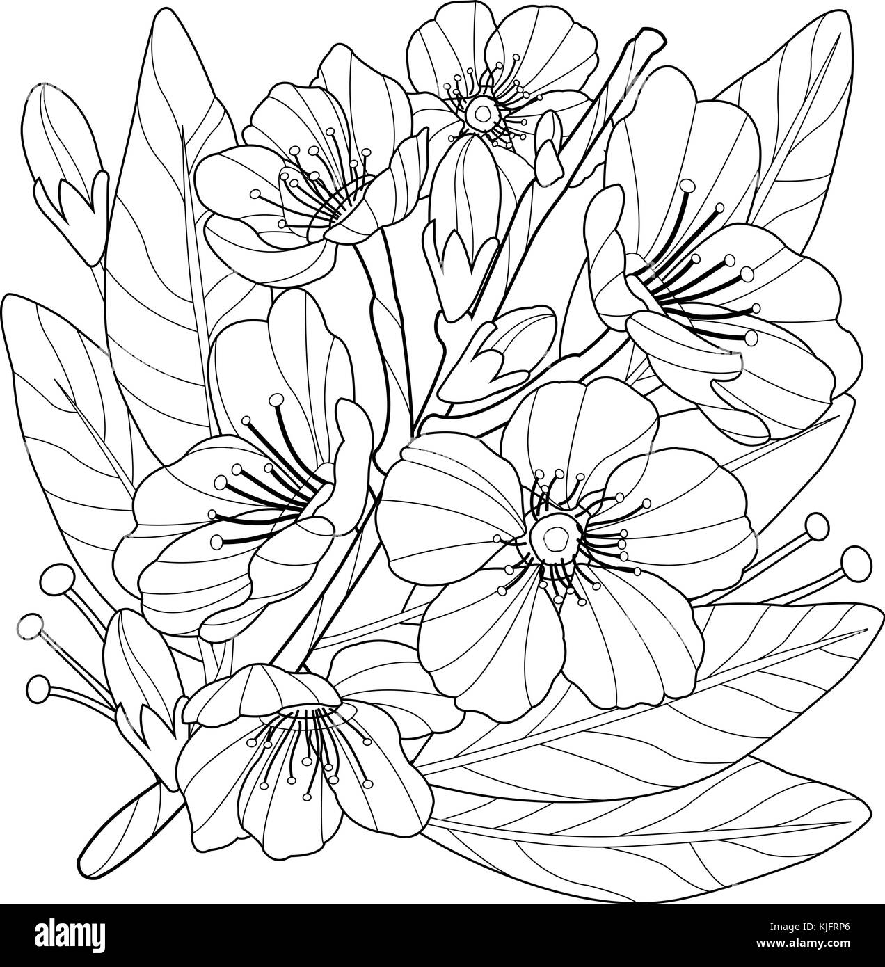 Branche d'amandier fleurie avec des fleurs. Branche avec des fleurs de printemps. Branche d'arbre fruitier. Page de coloriage noir et blanc vectoriel. Illustration de Vecteur