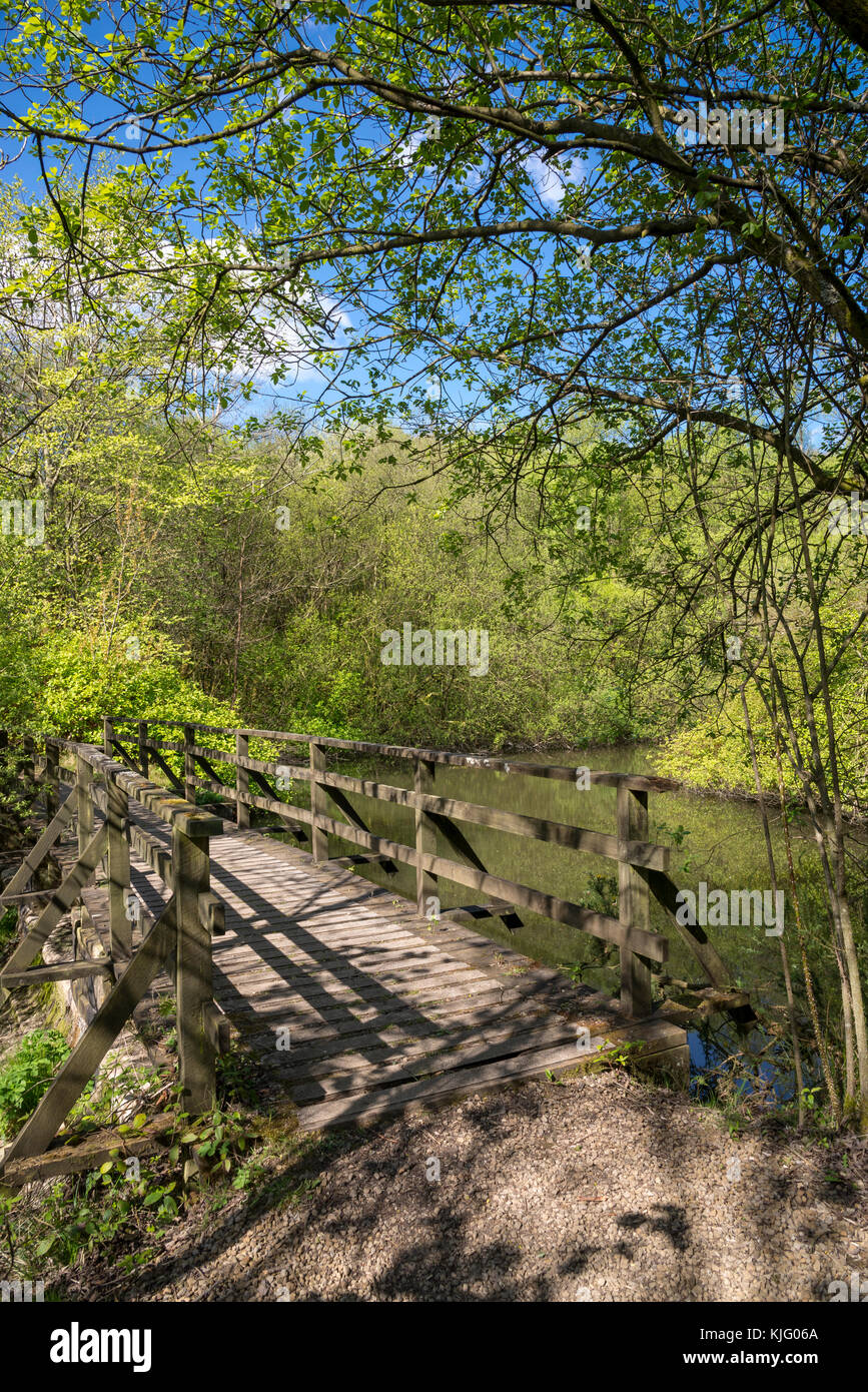 Passerelle dans la réserve naturelle de bois de Swallows, Hollingworth, Derbyshire, Angleterre, un jour de printemps ensoleillé. Banque D'Images