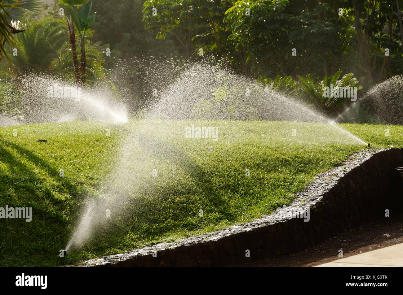 Systèmes de gicleurs gicleurs d'arrosage de l'eau l'herbe plantes plantes plantes climat chaud arrosés pelouses pelouse Banque D'Images