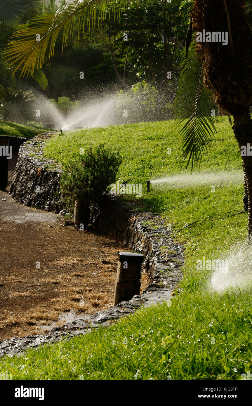 Systèmes de gicleurs gicleurs d'arrosage de l'eau l'herbe plantes plantes plantes climat chaud arrosés pelouses pelouse Banque D'Images