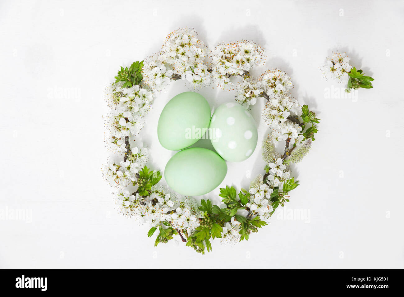Teint en vert à la main en nid d'oeufs de Pâques fleurs de cerisier et saule sur fond blanc Banque D'Images