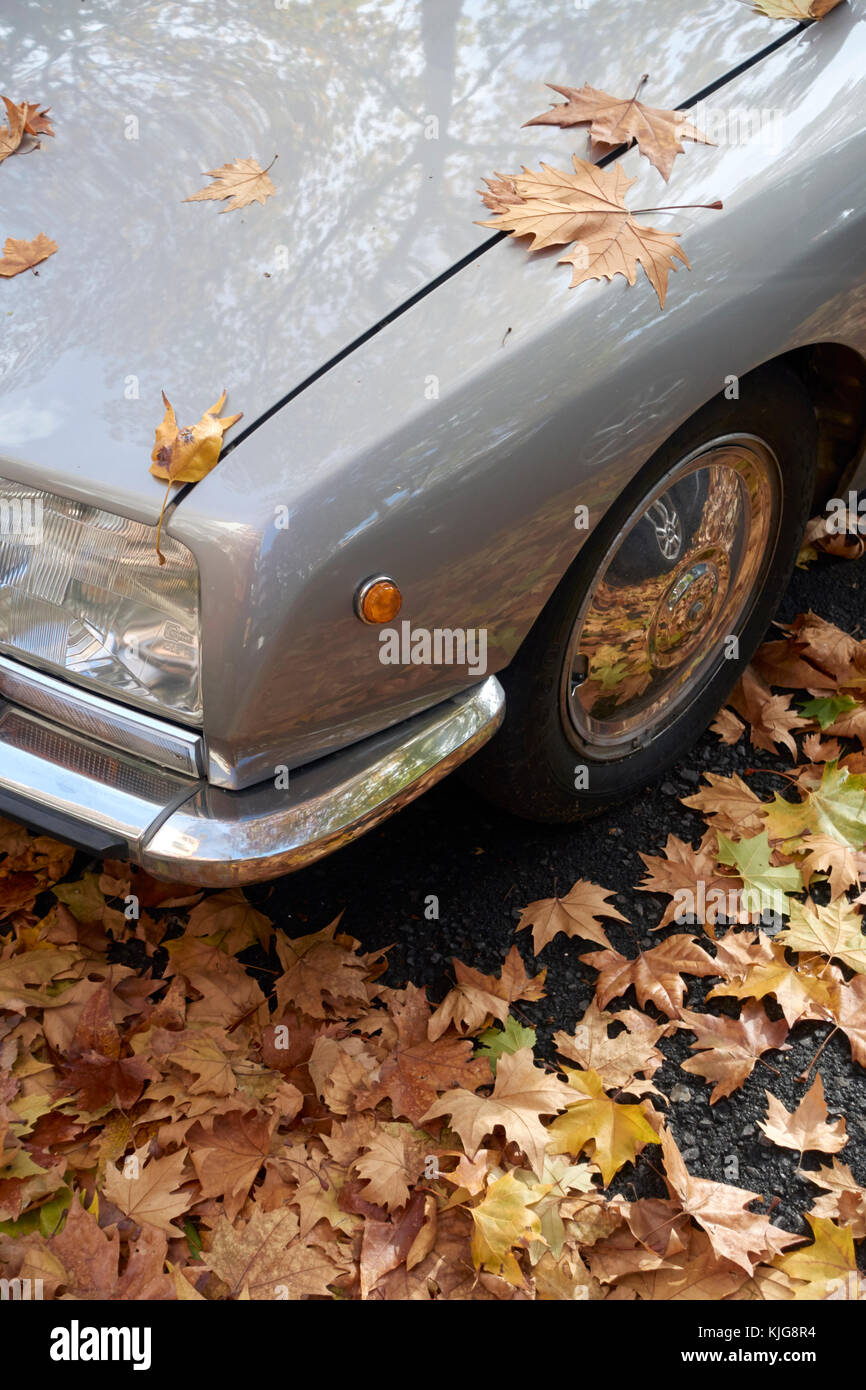 Vieille voiture Citroen GS Pallas couverts au cours gratuit avec des feuilles en automne Banque D'Images