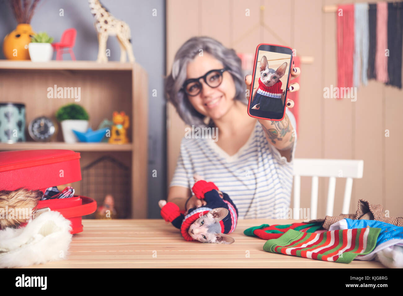 Woman showing cell phone photo de chat Sphynx port pull Banque D'Images