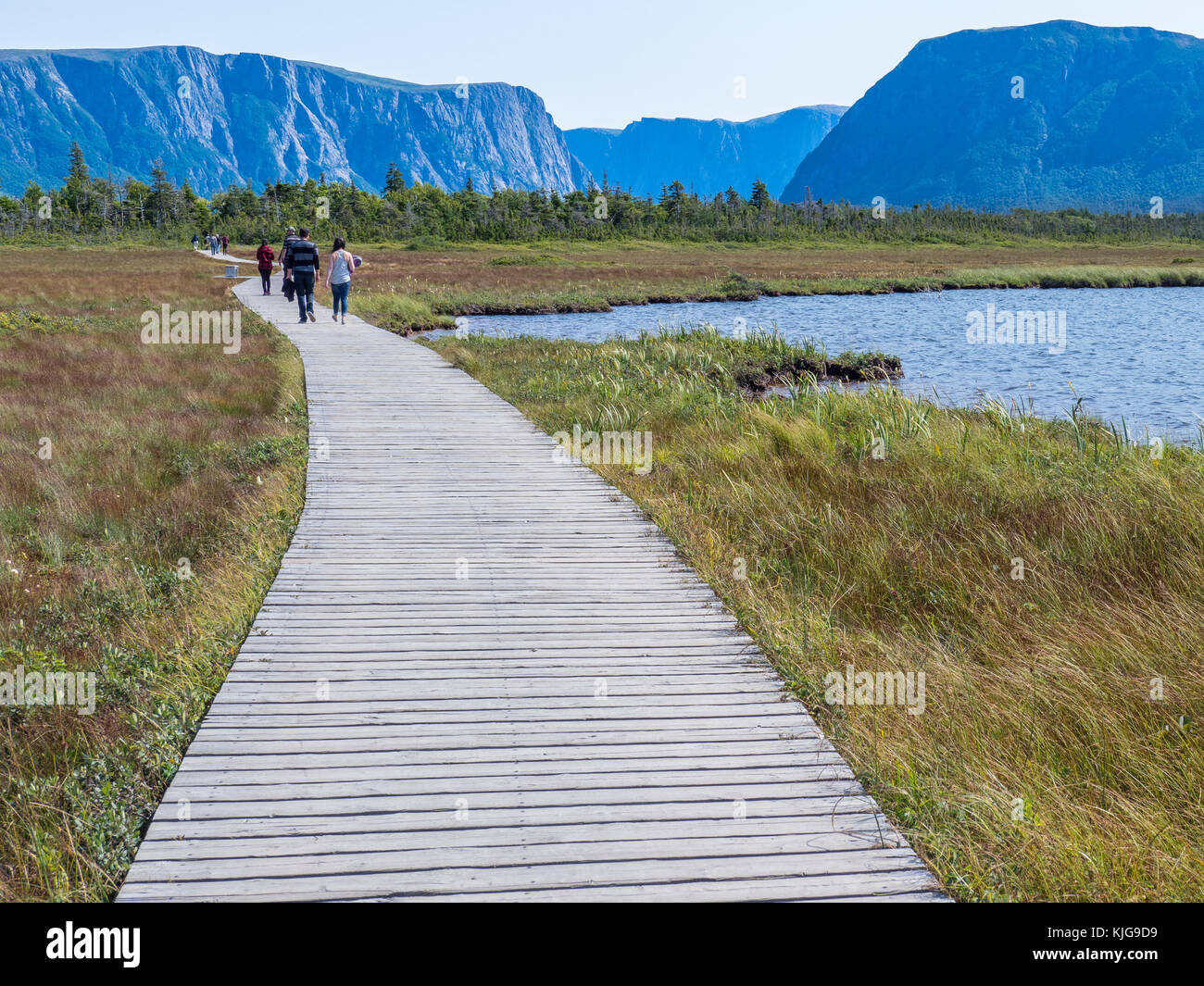 Sentier à l'étang Western Brook, le parc national du Gros-Morne, à Terre-Neuve, Canada. Banque D'Images