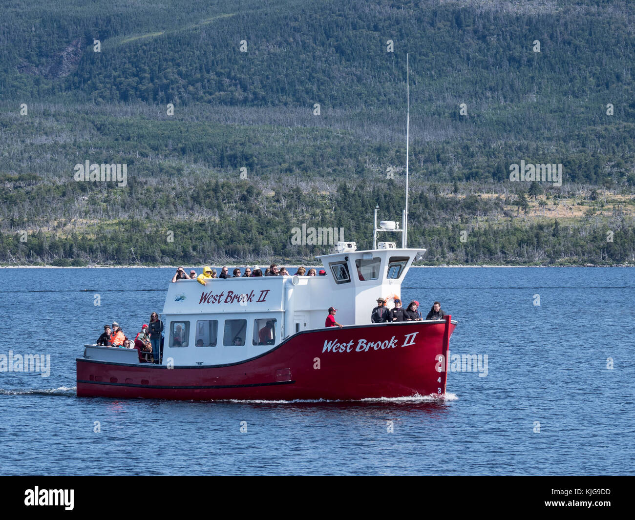 West II bateau d'excursion, l'étang Western Brook, le parc national du Gros-Morne, à Terre-Neuve, Canada. Banque D'Images