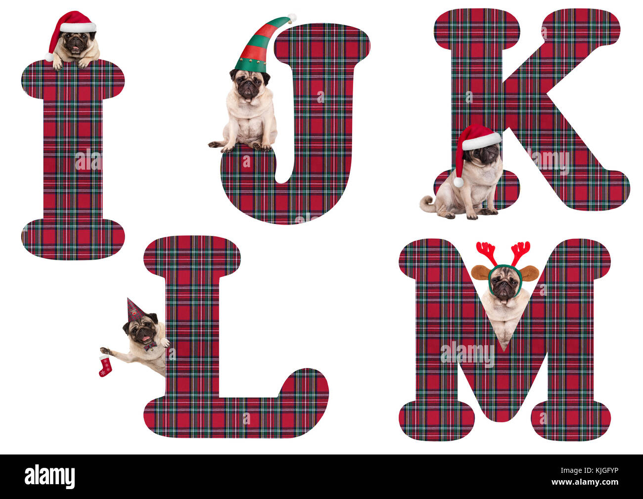 Noël mignon chiot pug dog lettres alphabet i j k l m, isolé sur fond blanc Banque D'Images