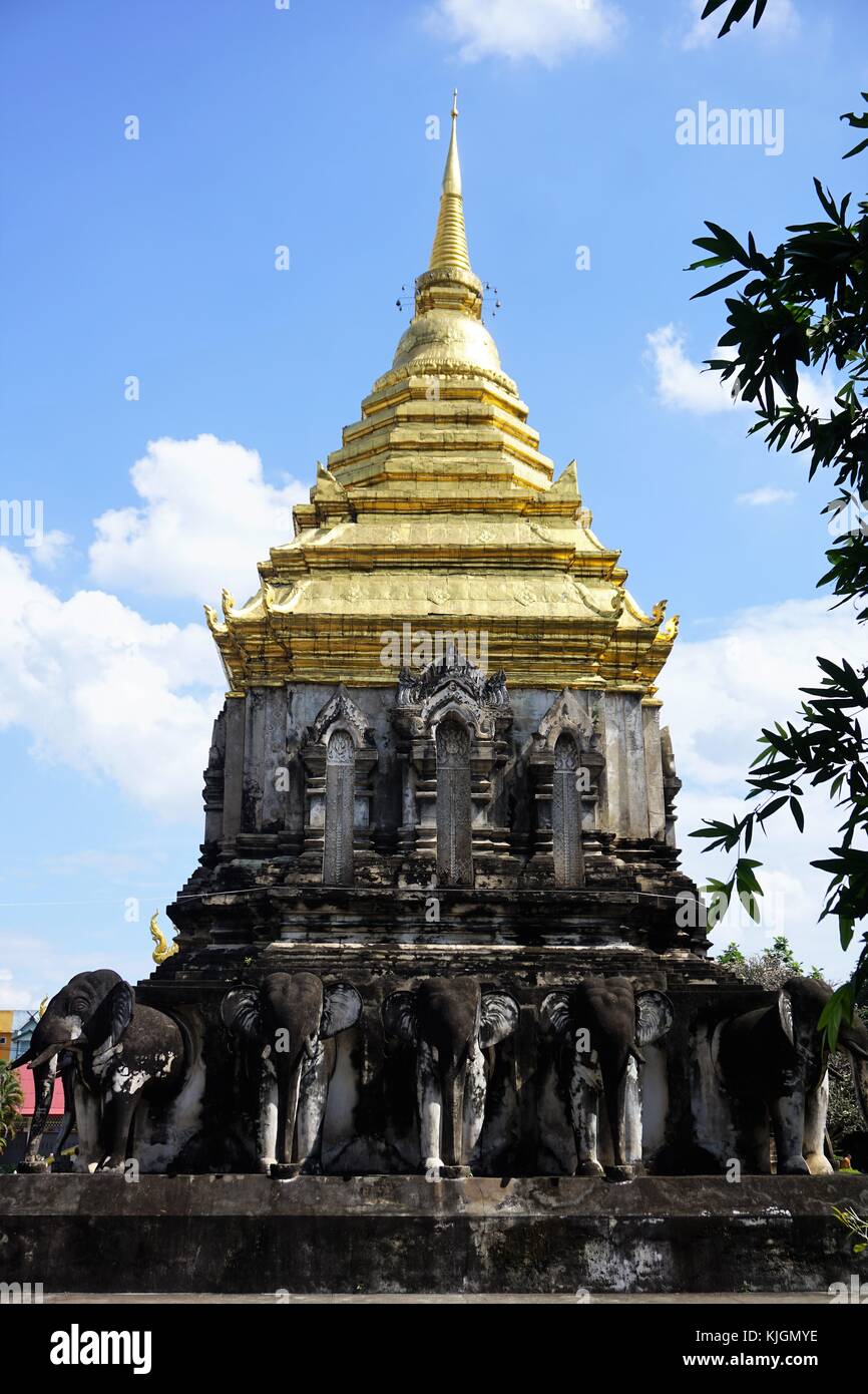 Les éléphants dans temple à Chiang Mai Thaïlande Banque D'Images