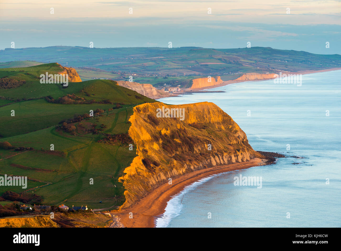 Golden Cap, Dorset, UK. 24 novembre 2017. Météo britannique. Vue depuis le sommet du Cap d'or sur la côte jurassique du Dorset à la recherche vers les falaises de Dog House Hill, Thorncombe Beacon et West Bay à la fin par une froide journée ensoleillée. Cap d'or est la plus haute falaise sur la côte sud de l'Angleterre. Crédit photo : Graham Hunt/Alamy Live News Banque D'Images